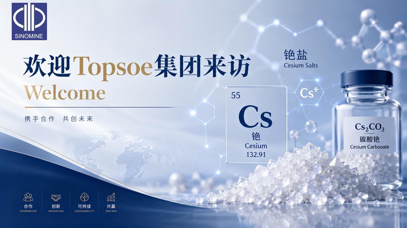 跨越十年，携手共赴&mdash;&mdash;托普索集团到访中矿资源集团